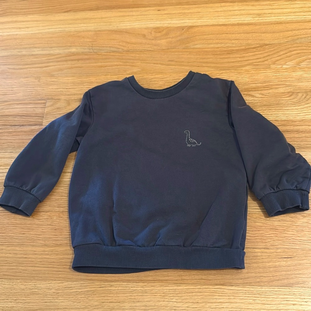 Toddler boys crew neck sweatshirt.